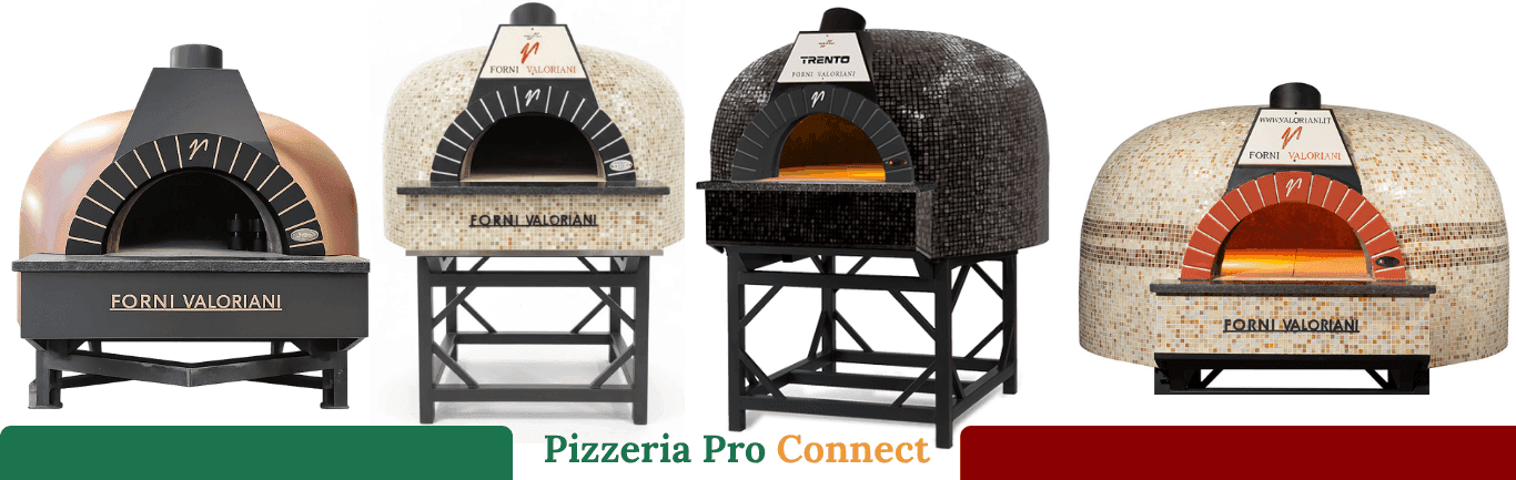 Professional wood-fired pizza oven